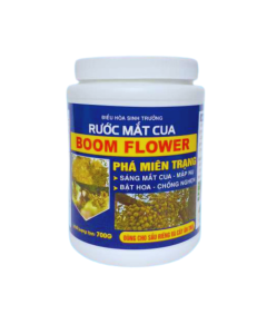 RƯỚC MẮT CUA BOOM FLOWER