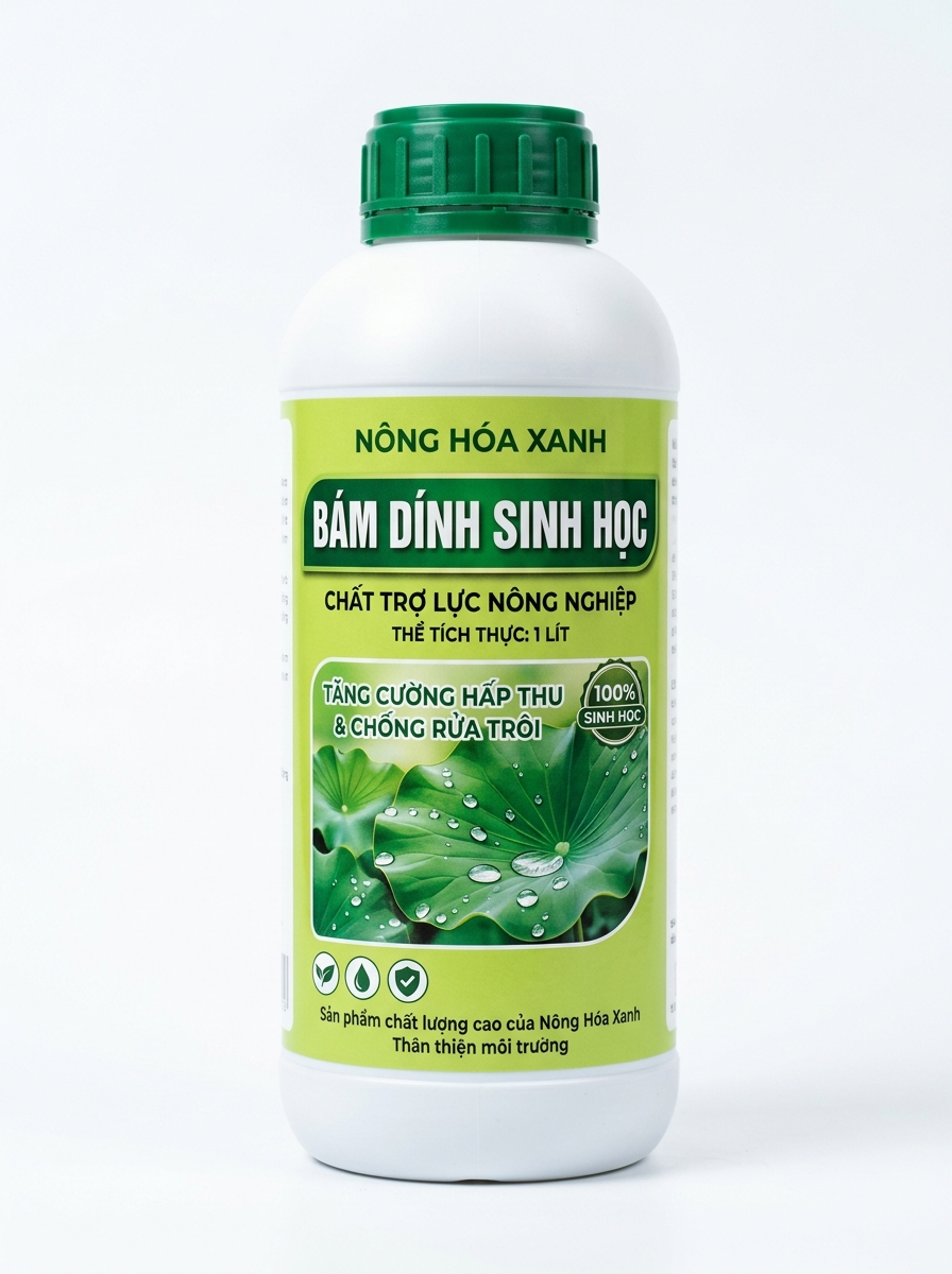 BÁM DÍNH SINH HỌC